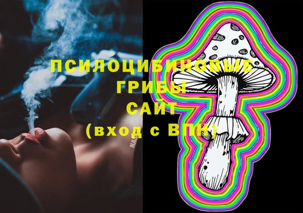 бошки Верхний Тагил