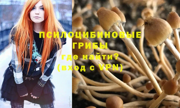 дурь Верея