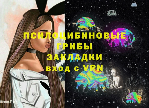 2c-b Саяногорск